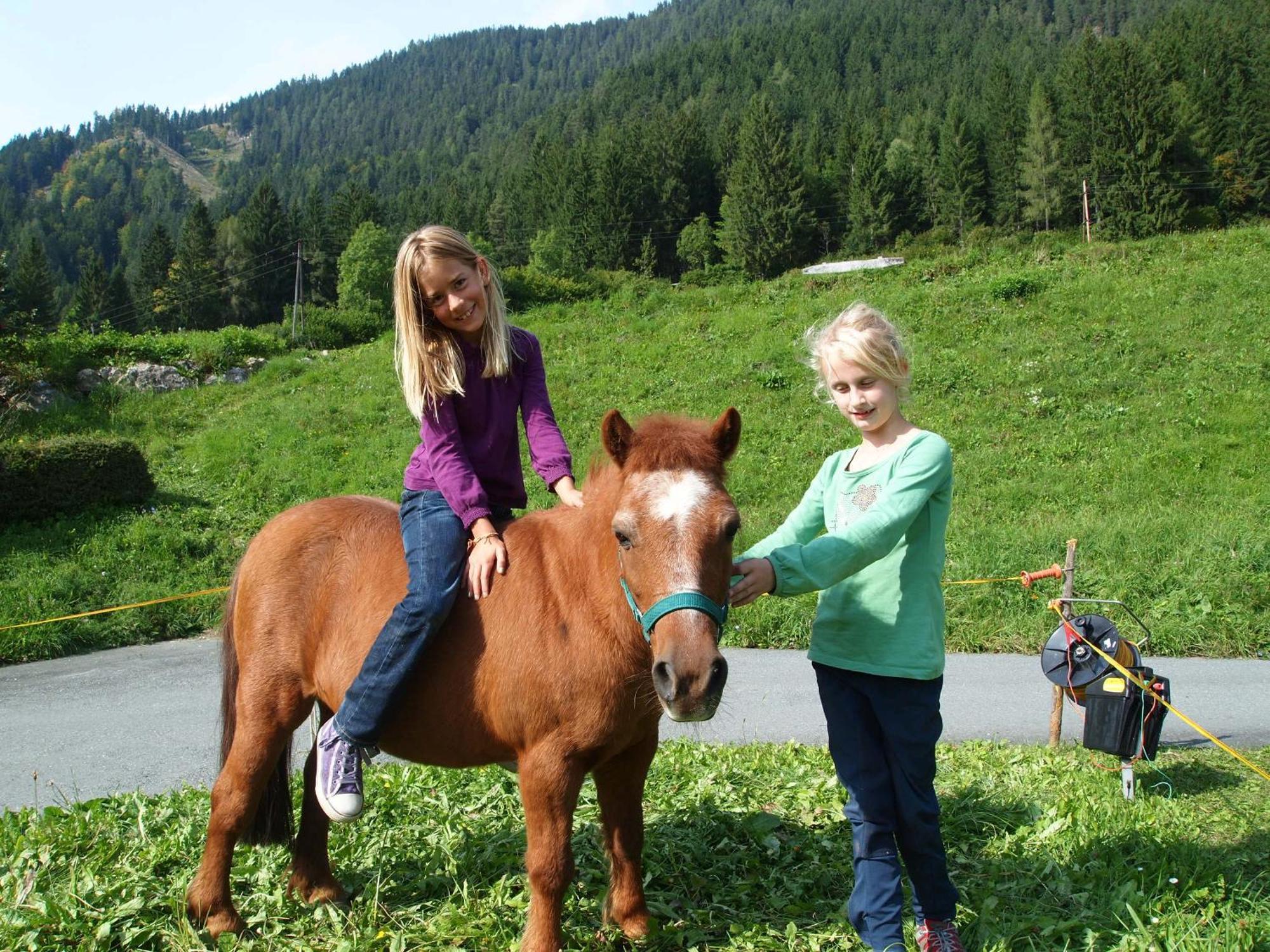 Ferienhof Obergasser Und Bergblick Weissensee Zewnętrze zdjęcie
